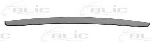 blic 5513001132921p