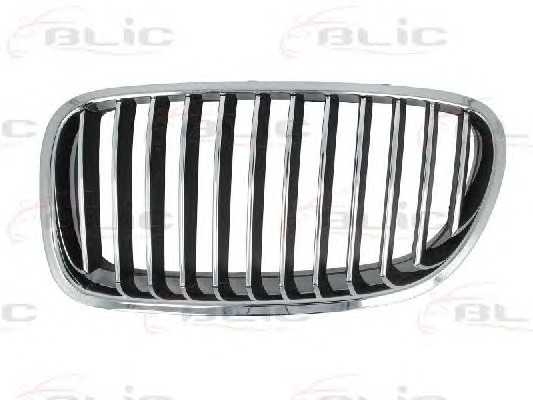 blic 6502070067993p
