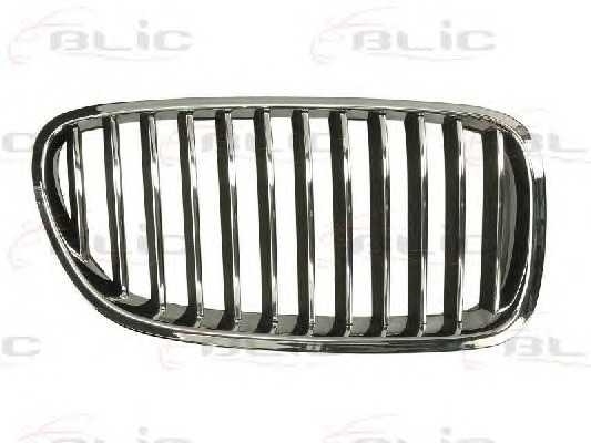 blic 6502070067994p