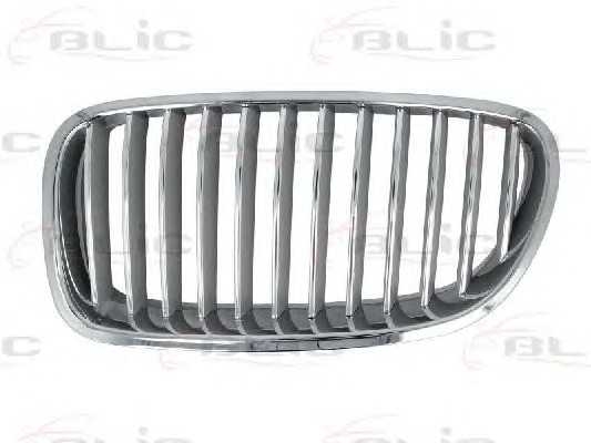 blic 6502070067995p