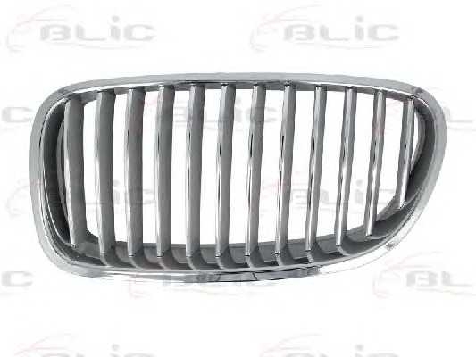 blic 6502070067996p