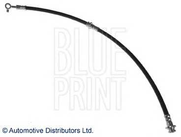 blueprint adn153249