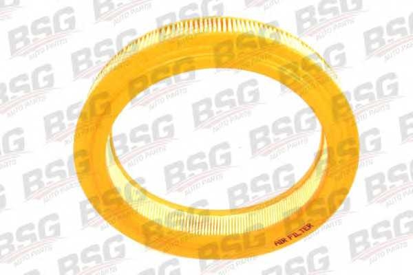 bsg bsg30135022