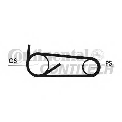 contitech 4pk922elastt1
