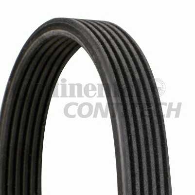 contitech 6dpk1195