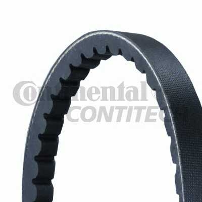 contitech avx13x1175
