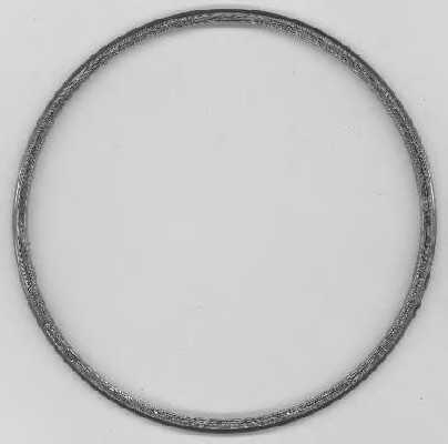 elring 844310