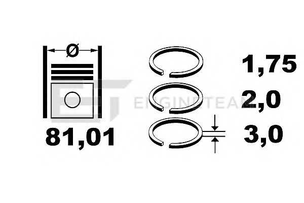 etengineteam r1009100