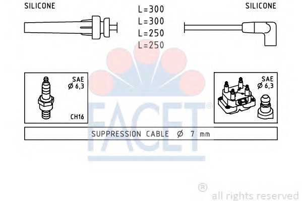 facet 49508