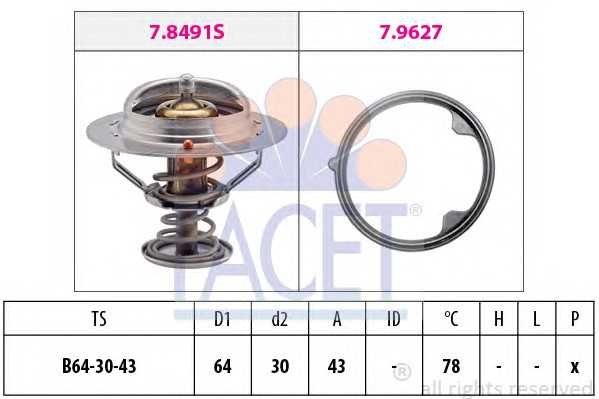 facet 78491
