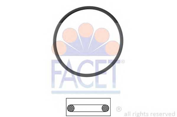 facet 79550