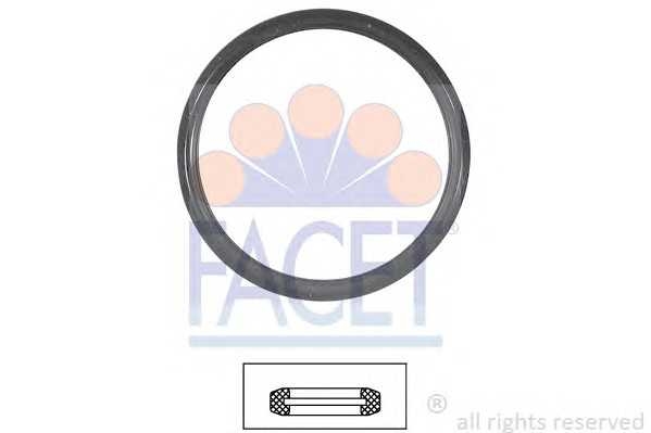 facet 79567