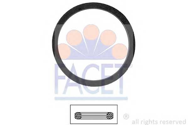 facet 79568