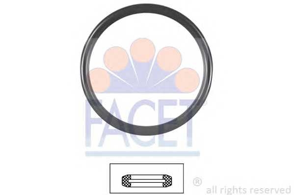 facet 79606