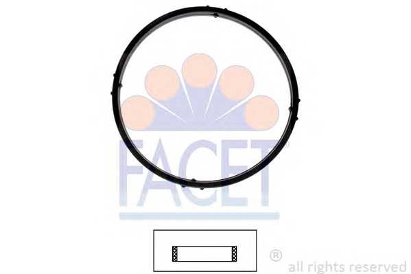 facet 79701