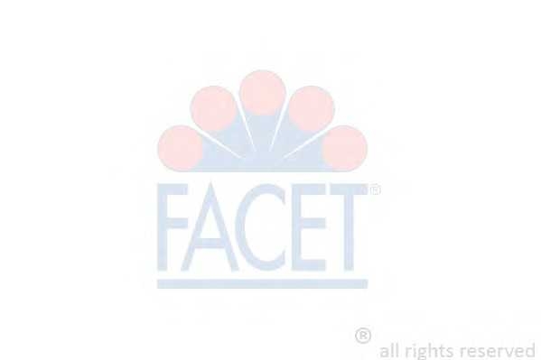 facet 96485