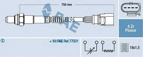 fae 77901