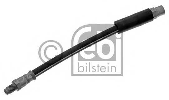 febibilstein 01181