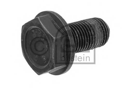 febibilstein 01197
