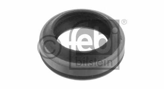 febibilstein 01622