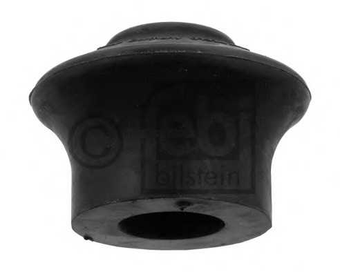 febibilstein 01929