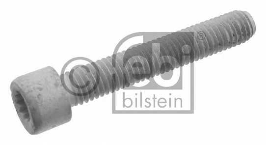 febibilstein 03004