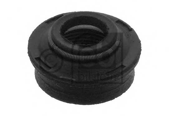 febibilstein 03363