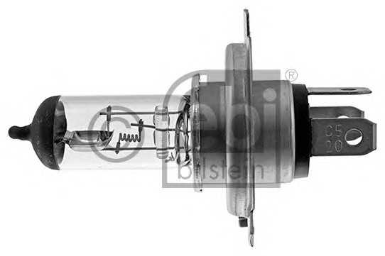 febibilstein 06581