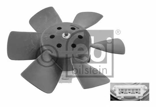 febibilstein 06989