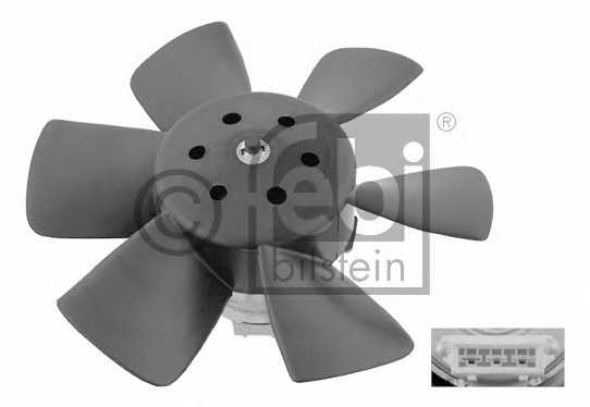 febibilstein 06990