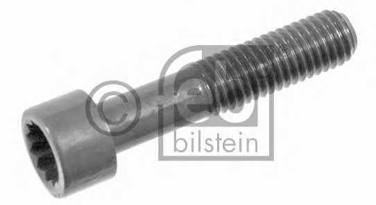 febibilstein 09455