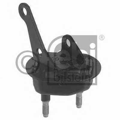 febibilstein 11782