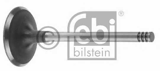 febibilstein 17386