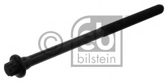 febibilstein 17535