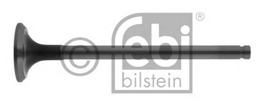 febibilstein 18667