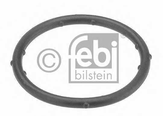 febibilstein 18766