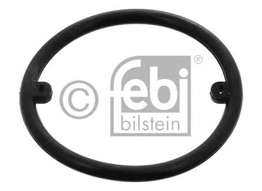 febibilstein 18776