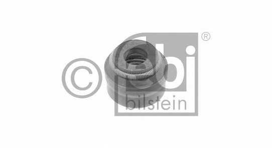 febibilstein 19620