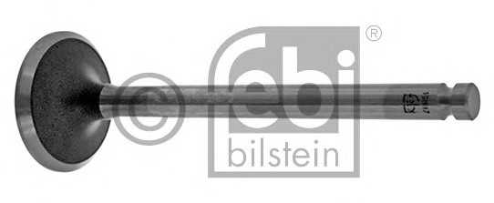 febibilstein 19887