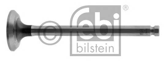 febibilstein 19891