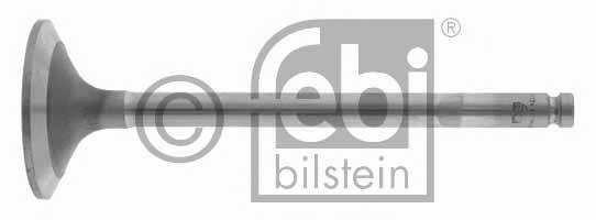 febibilstein 22024