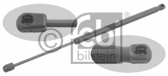 febibilstein 27919