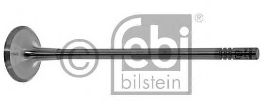 febibilstein 28641