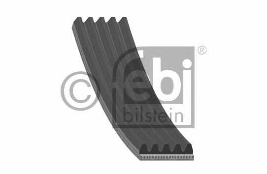 febibilstein 28894