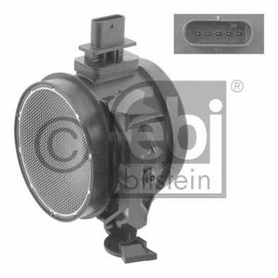 febibilstein 29516