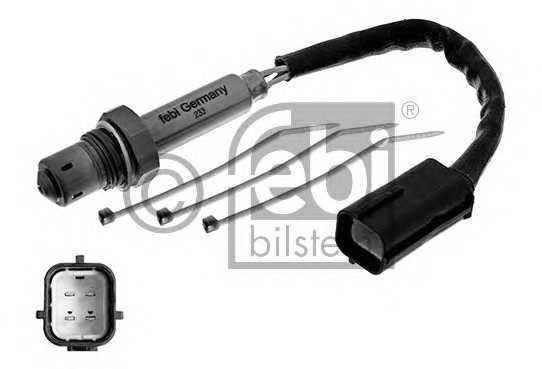 febibilstein 31628