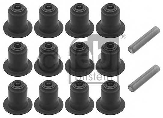febibilstein 32225