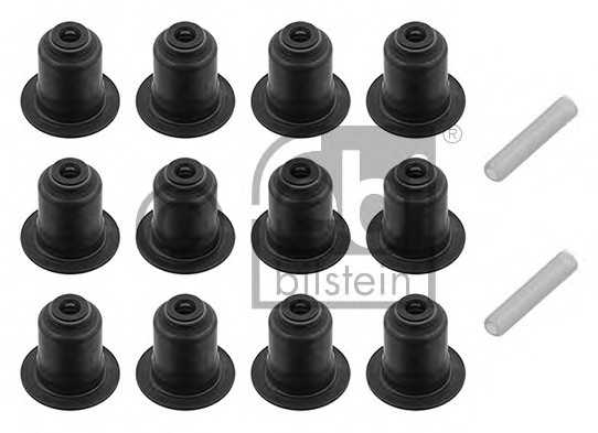febibilstein 32621