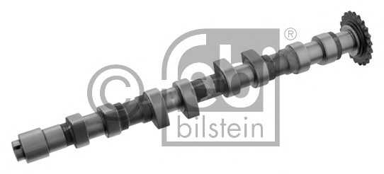 febibilstein 33013