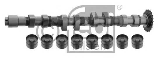 febibilstein 33199